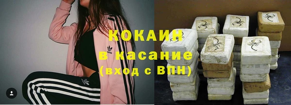 ПСИЛОЦИБИНОВЫЕ ГРИБЫ Каменногорск