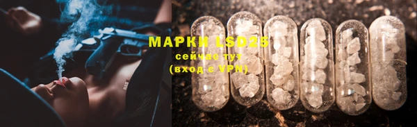 ПСИЛОЦИБИНОВЫЕ ГРИБЫ Каменногорск