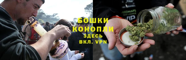 ПСИЛОЦИБИНОВЫЕ ГРИБЫ Каменногорск